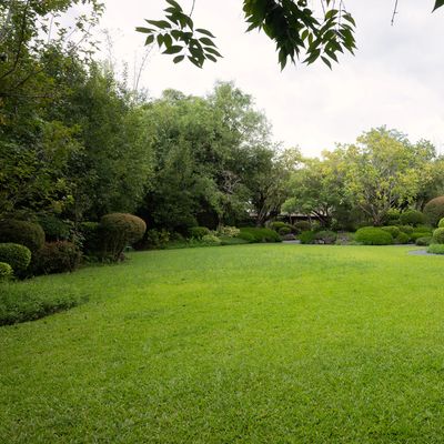 A lush green garden with trimmed bushes and trees under a cloudy sky.