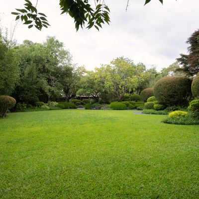 A lush green garden with manicured bushes and trees under a cloudy sky.