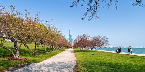 Pathway lined with trees along a waterfront under a clear blue sky.