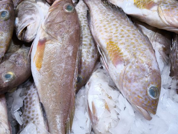 Fresh fish on ice at a market, showing detailed scales and eyes.