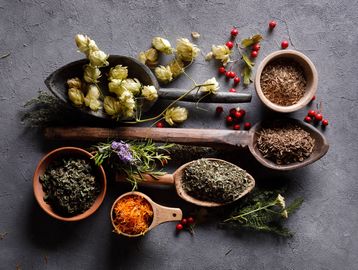 Assorted dried herbs, flowers, and berries on wooden spoons and dishes on a gray surface.
