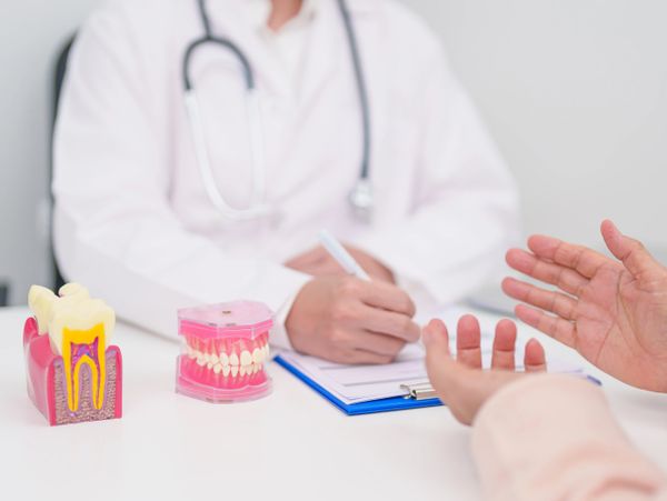 Dentist consulting a patient with dental models on the table.