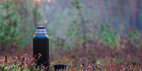Thermos bottle and cup in a forest clearing with blurred trees in the background.