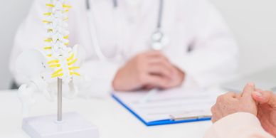Doctor consulting with patient about spinal health using a spine model.