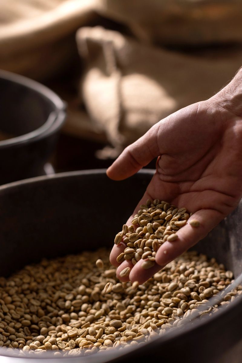 Close-up of a hand cupping coffee seeds above a container of grains, conveying harvest, farming, and healthy food themes; Ideal for agriculture, nutrition, and rustic lifestyle stock photos