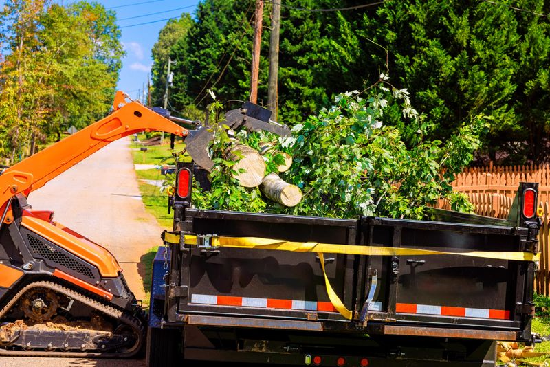 Crawler tractor loader collects branches debris from neighborhood road after hurricane