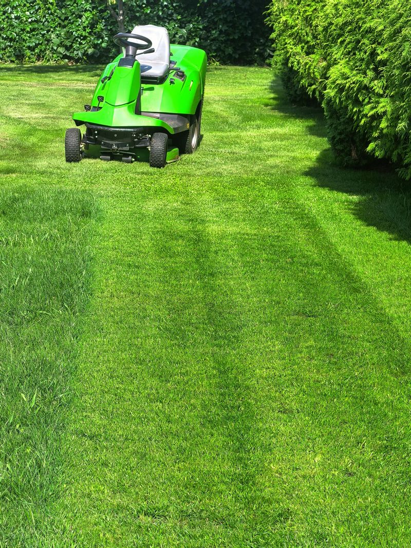 A bright green motorized lawn mower (rider) going to cut thick grass in a well-kept garden. Lush hedges line the path, creating a serene and tidy outdoor space on a sunny day. Space for copy.