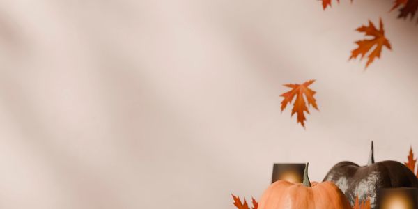 Autumn leaves and pumpkins arranged for a cozy fall scene.
