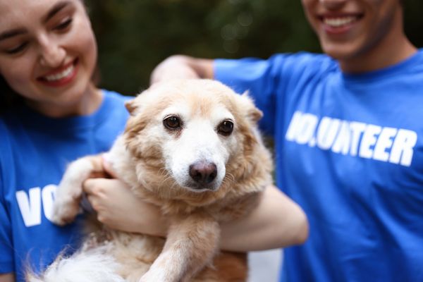 Two smiling volunteers holding a fluffy, light brown dog.