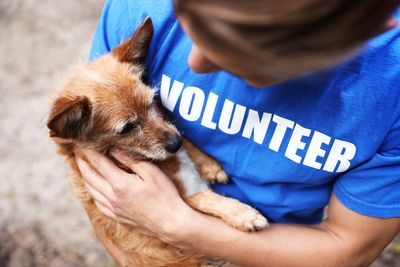 A dog stands on its hind legs behind a chain-link fence.