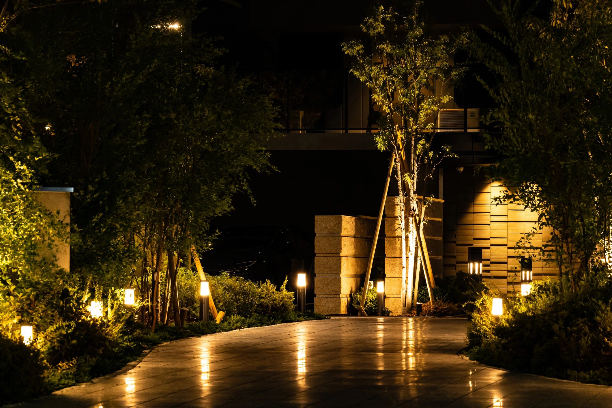 Pathway illuminated by warm garden lights at night.