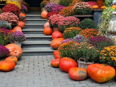 Pumpkins and colorful flowers decorating a staircase.