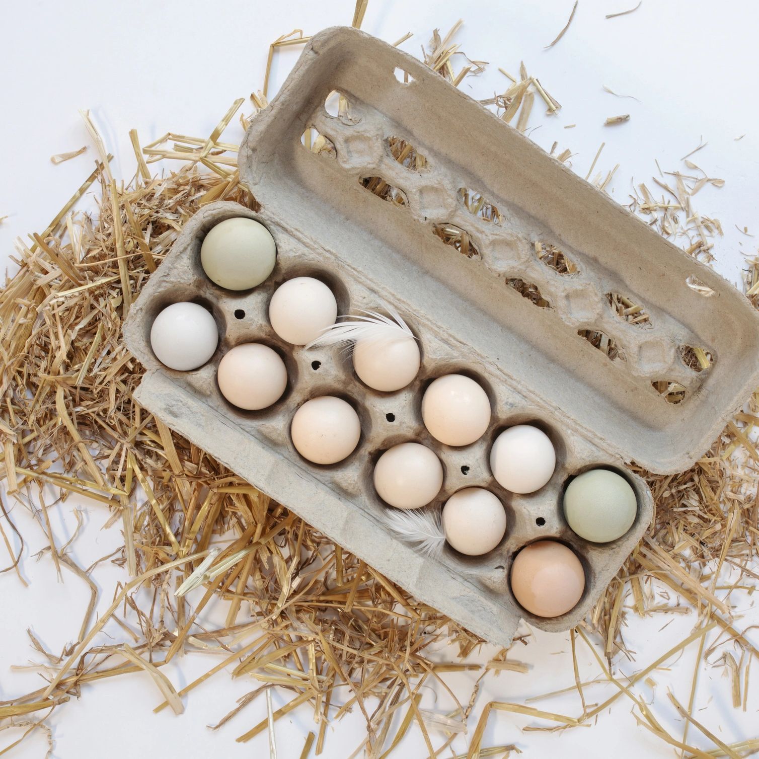 Carton of mixed-color eggs with feathers on straw background.