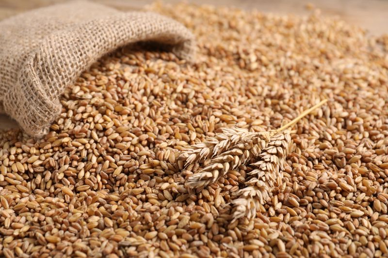 Wheat grains, spikelets and burlap bag on wooden table, closeup