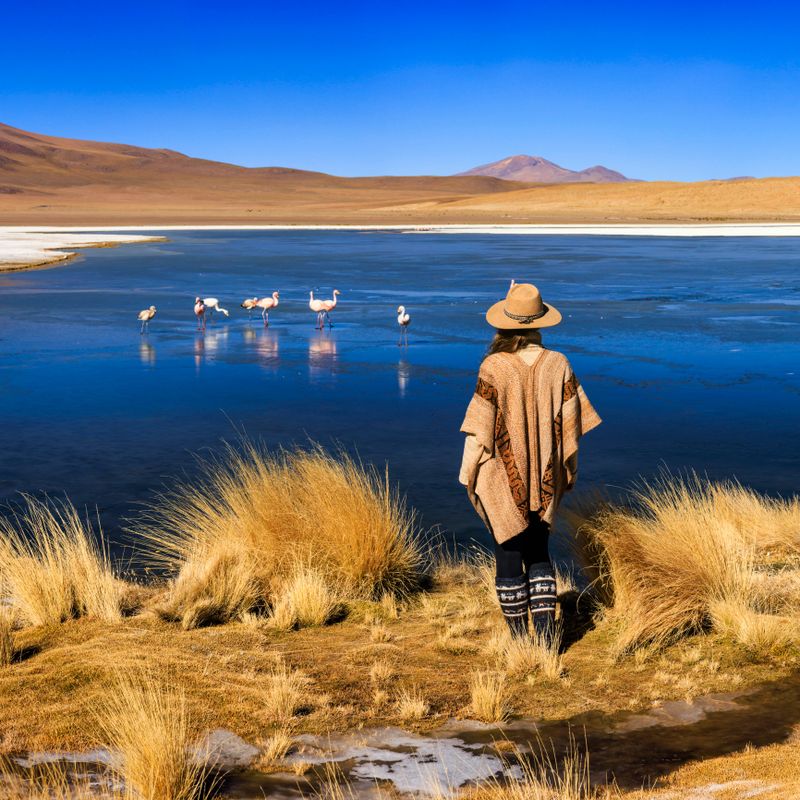 This panoramic landscape is an very high resolution multi-frame composite and is suitable for large scale printing.Female tourist looking at Laguna Canapa in Bolivia. The Altiplano (Spanish for high plain), in west-central South America, where the Andes are at their widest, is the most extensive area of high plateau on earth outside of Tibet.