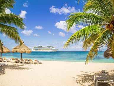 A sunny beach scene with palm trees and a cruise ship.