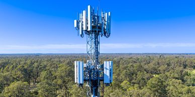 A tall cellular tower surrounded by a vast forest under clear blue sky.