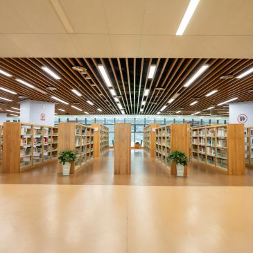 Book genre