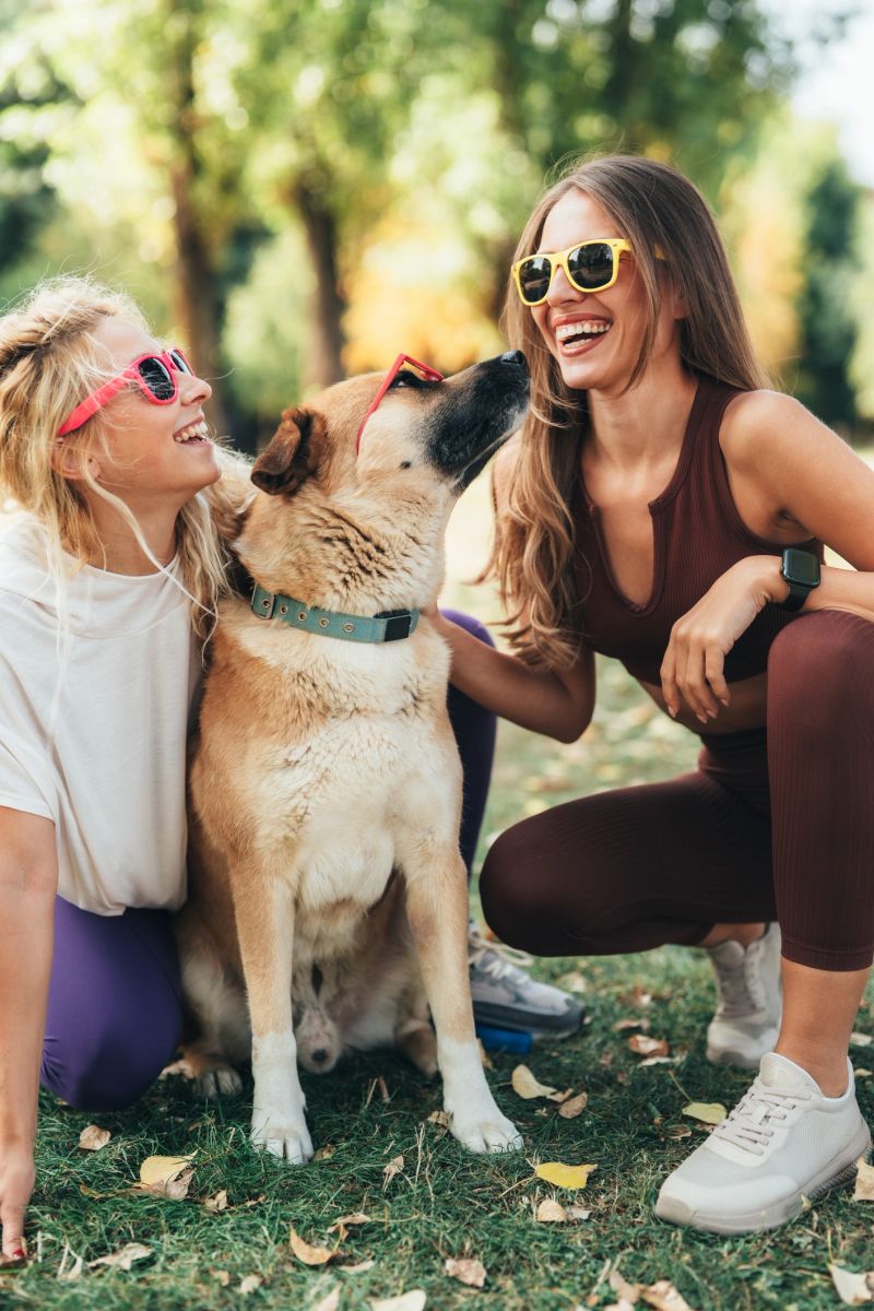 Happy moment with two young women and their dog, all wearing colorful sunglasses and smiling together in the park. Concept of friendship, fun, summer lifestyle, and pet love