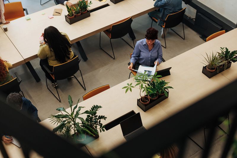High angle view of professionals working and reading at shared desks in a modern co-working space with potted plants