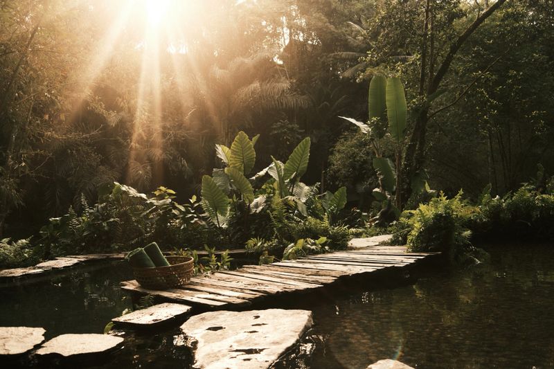 Sunlight beams through lush tropical jungle, illuminating a serene natural spa area with water, stepping stones, and a basket of towels