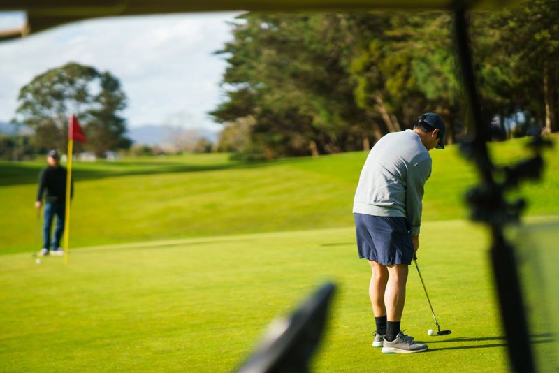 Professional Golfers navigate the lush fairways, each swing capturing a moment of concentration and harmony with the open, green landscape.