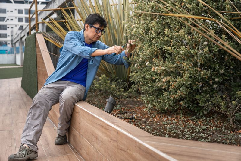 Mature adult man meticulously trimming plants in a serene urban rooftop garden