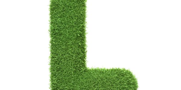 Green grass shaped like the letter L on a white background.