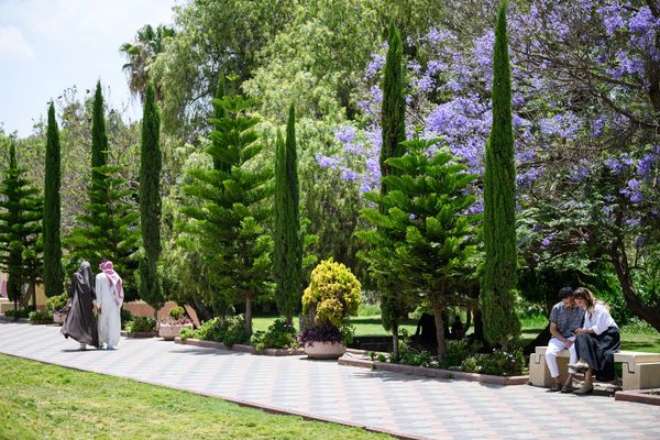 Consistent Lawn Care