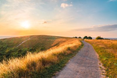 A winding path through golden grass under a soft sunset sky.