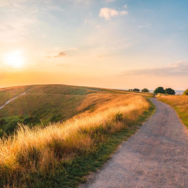 Camino pavimentado al atardecer en el campo.