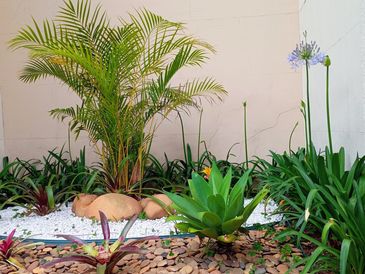 Az su isteyen bitkilerden yapılmış bir peyzaj çalışması, Kurakçıl Peyzaj