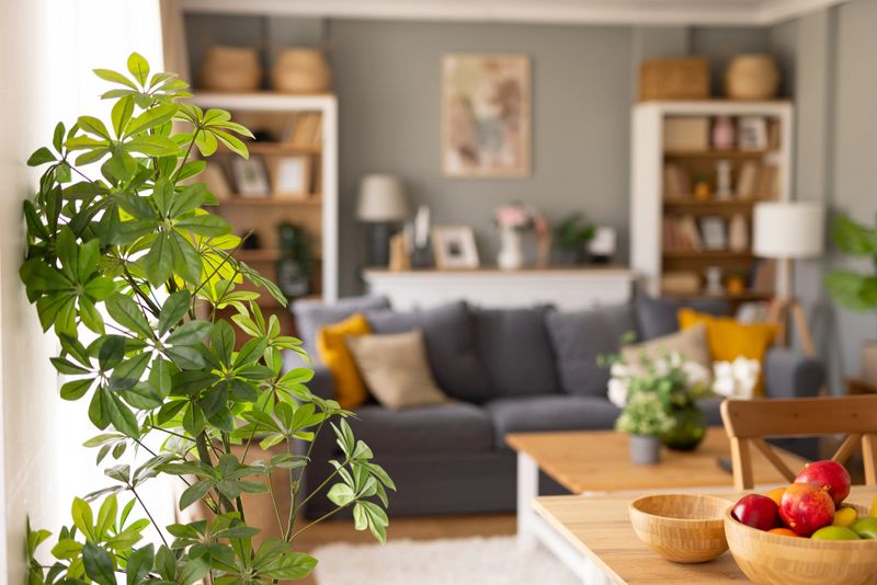 A stylish and inviting living room featuring lush plants and cozy seating, perfect for relaxation and quality time at home.