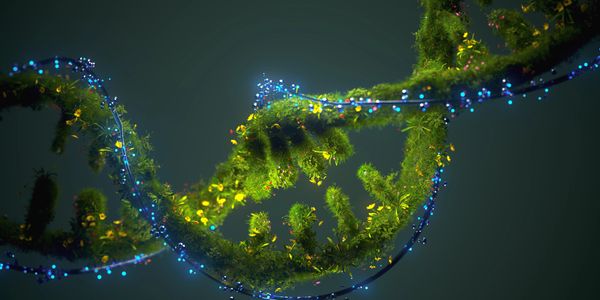 DNA strand entwined with green plants and glowing blue lights.
