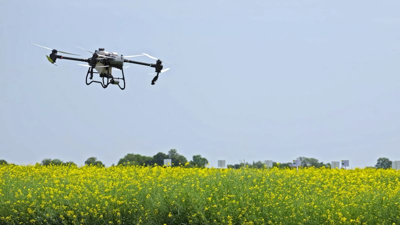 Agricultural drone flying over yellow flower field. Drone used for precision agriculture flying over a blooming yellow mustard or canola field on a clear day