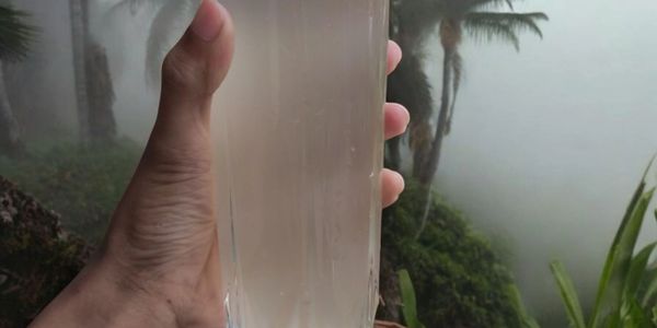 Hand holding a glass of cloudy water outdoors with misty trees in the background.