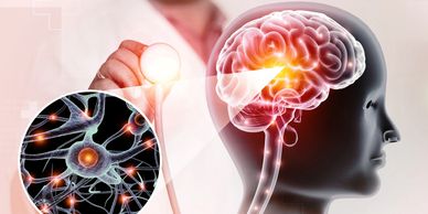 Doctor examining a highlighted brain and neural connections.