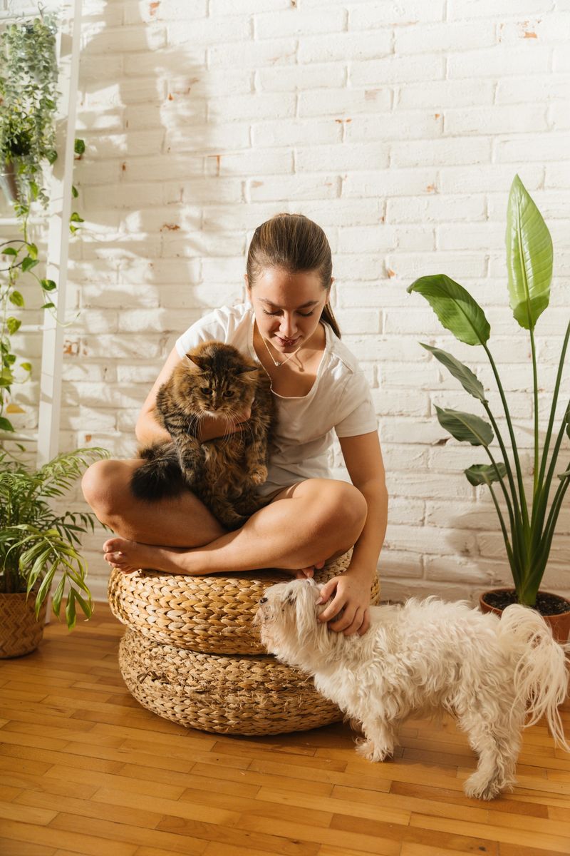 Relaxed young woman sitting cross-legged on a woven ottoman in a bright home interior, holding a fluffy cat and petting a small white dog. Cozy natural light and indoor plants create a calm, friendly atmosphere.