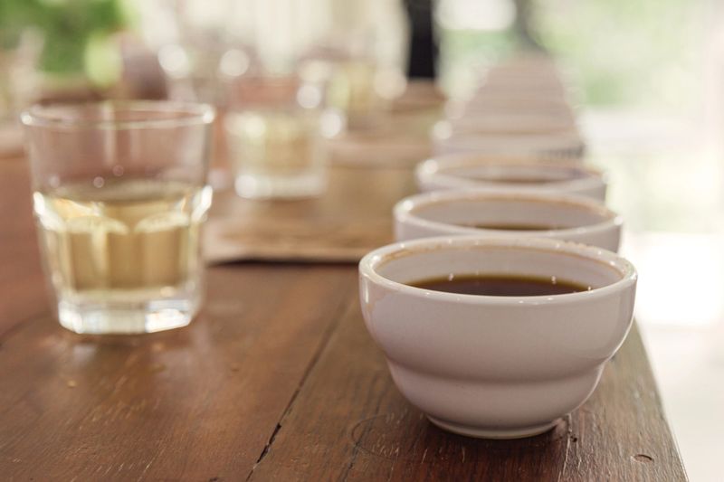 Row of coffee cups prepared for professional cupping session to evaluate aroma and flavor. Specialty coffee tasting setup in a cozy cafe or roastery environment with natural light.