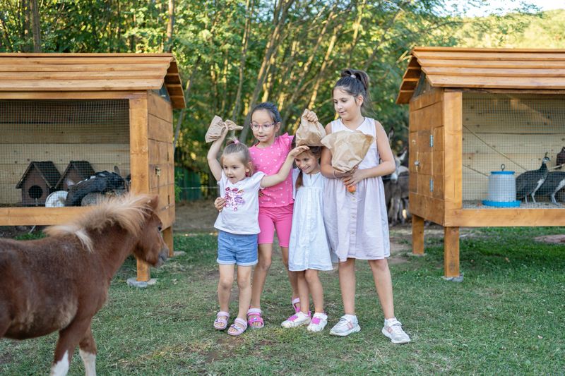 Four cheerful girls gather around a gentle pony in a green meadow, enjoying a playful outdoor moment. The scene captures a lively and heartwarming interaction between children and the animal as they play and feed them.