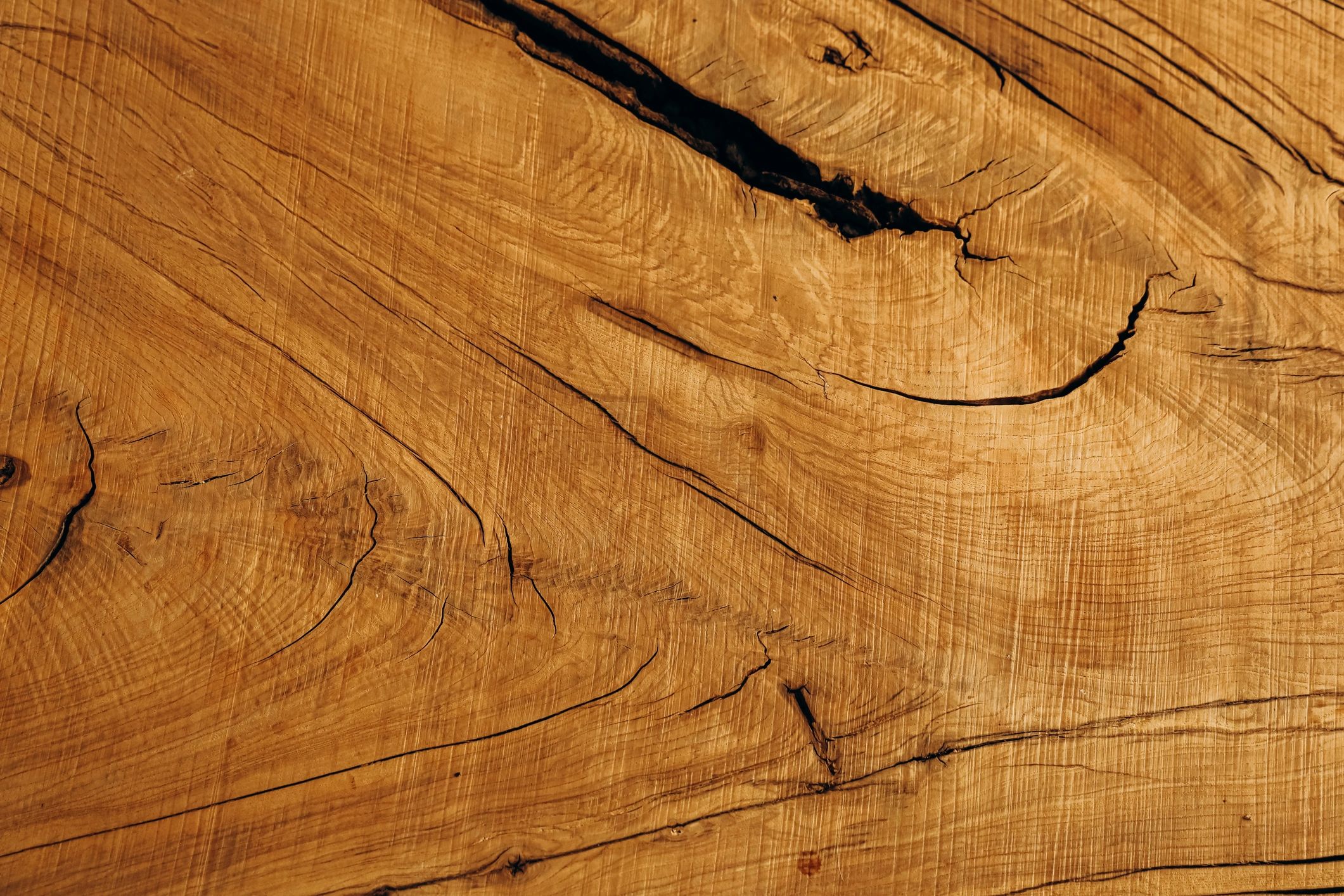GD Forest Products LLC
