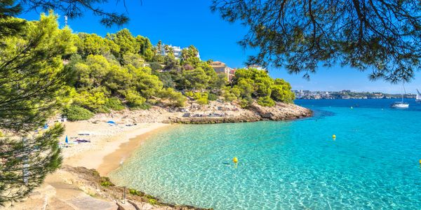 Secluded beach with clear turquoise water and lush green trees under a bright blue sky.