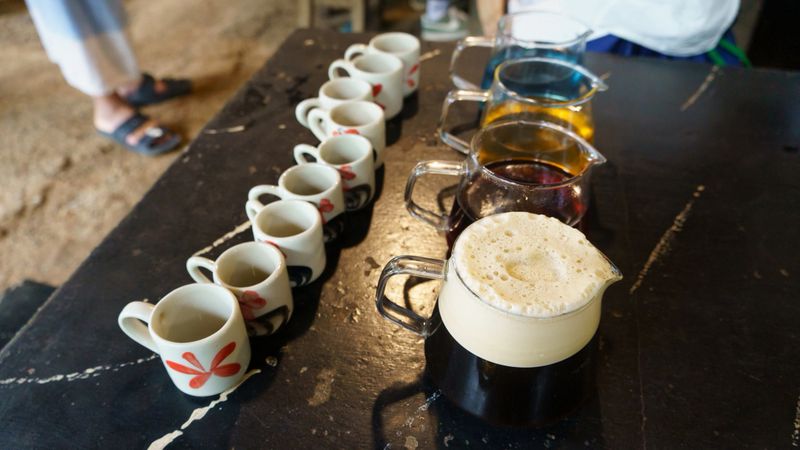 An assortment of colorful, delightful beverages presented in small cups, perfect for enjoying a tasting session Chiang Mai