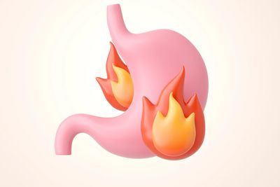 3D illustration of a stomach with flames, symbolizing heartburn or acid reflux.