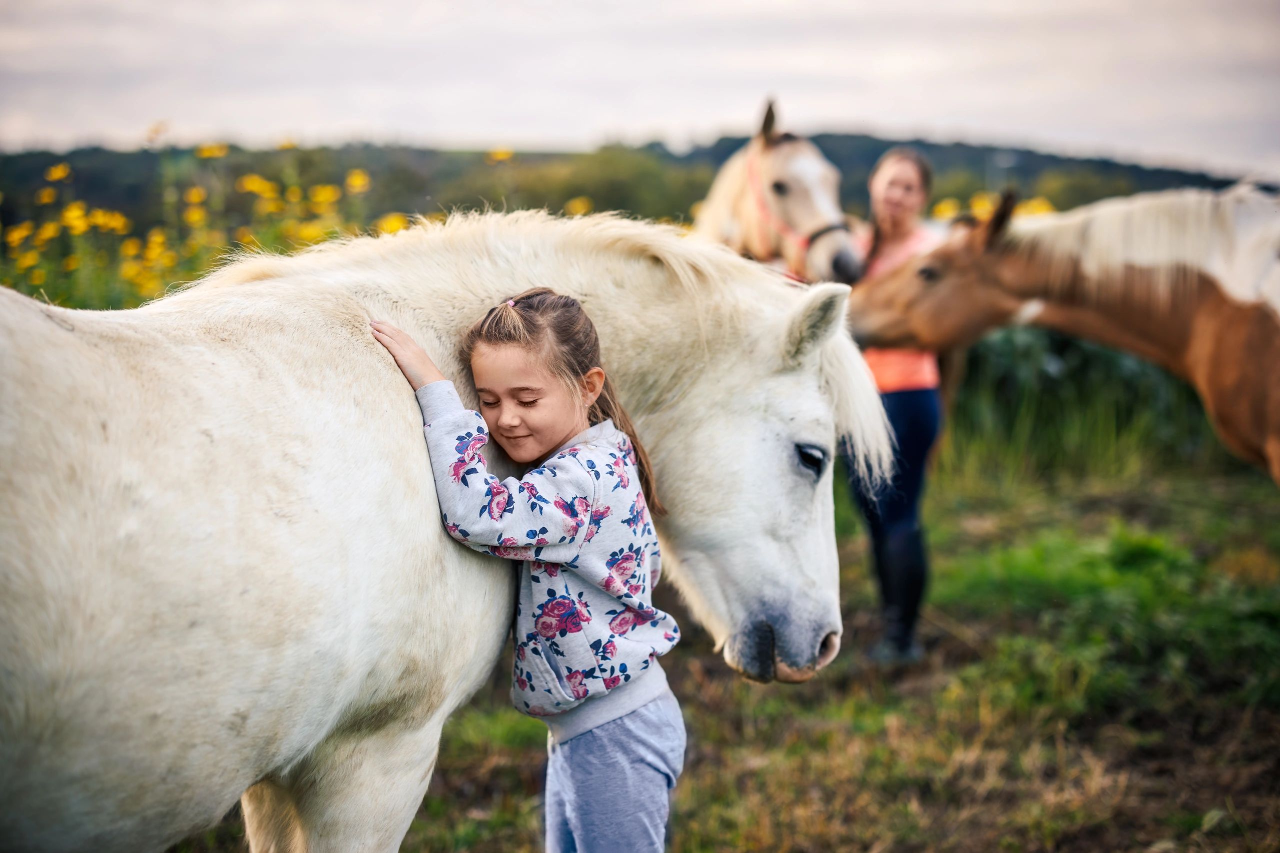 Little girl hugging a white horse in a sunny field.