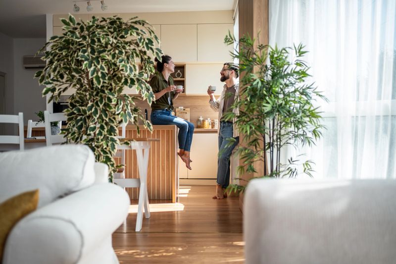 Young adult couple relaxing and conversing over coffee in their modern home kitchen, surrounded by abundant green plants, representing a comfortable and contemporary lifestyle