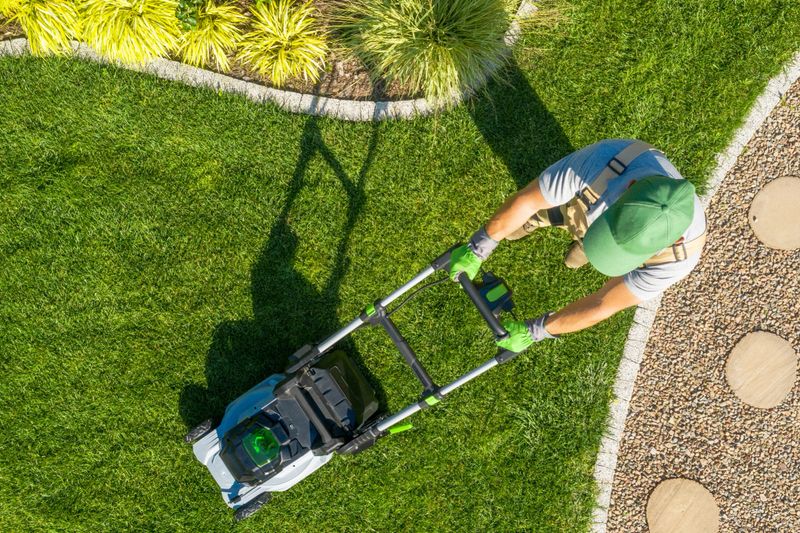 A lawn care professional trims lush green grass in a neatly landscaped garden during daylight. Freshly cut grass lines contrast with stone pathway.