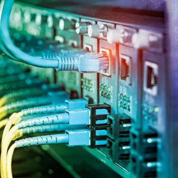 Ethernet cables plugged into a network switch.
