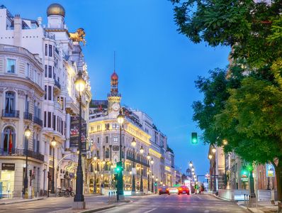 Photograph of one of the avenues in Madrid lined with trees and lamposts