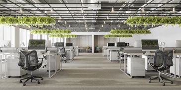 Modern open office space with hanging plants and sleek workstations.
